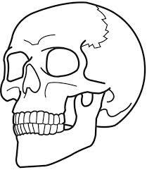 Supercoloring.com is a super fun for all ages: Realistic Skull Coloring Pages And Other Top 10 Coloring Page Themes
