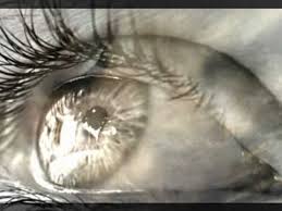 3,391 likes · 18 talking about this · 1,977 were here. Dietro La Porta Cristiano De Andre Youtube