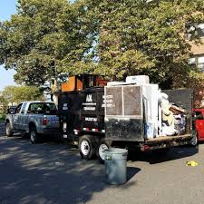 How To Choose The Best Junk Removal Business In Long Island Area Junk Removal Business Junk Removal Trash Removal