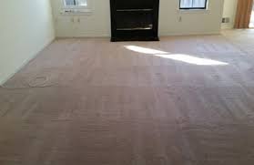 Your greater philadelphia carpet cleaners. Ed Carpet Cleaning 7223 Hanford St Philadelphia Pa 19149 Yp Com