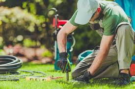 Garden Maintenance Dubai