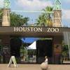 Features animals science museums, nature & wildlife areas. Https Encrypted Tbn0 Gstatic Com Images Q Tbn And9gcq5ztr Rlk7vwzsa5jqorkttod3vnnzzs Jhf7tkhfxuxozvfxn Usqp Cau