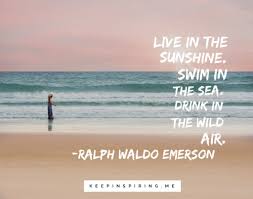 There is nothing more beautiful than a rainbow but it takes both rain and sunshine to make a rainbow. the sun is a daily reminder that we too can rise again from the darkness, that we too can shine our own light. a cloudy day or a little sunshine have. Quotes About Summer Keep Inspiring Me