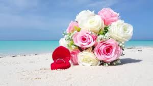 Hours may change under current circumstances V00821 Maldives Beautiful Beach Background Stock Footage Video 100 Royalty Free 25889495 Shutterstock