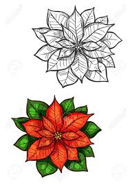 Su característico color rojo hace de ella una planta acogedora sin igual. Flor De La Estrella De Navidad Dibujo Vectorial Decoracion Del Ano Nuevo Tradicional Flor De Pascua De Color Rojo Con Las Hojas Verdes Ilustraciones Vectoriales Clip Art Vectorizado Libre De Derechos Image