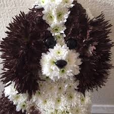 We did not find results for: Bb S Florist Home Facebook