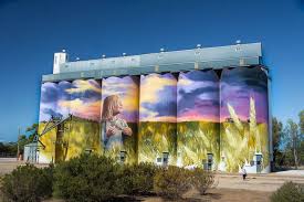 Beautiful Paintings On Silos Across The Top Of The Eyre Port Pirie To Streaky Bay Street Art Farm Art Australian Painting