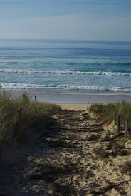 En Haut De La Dune Photos En Images Photos Paysage Paysage France Paysage