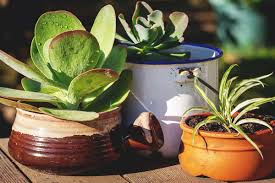 From recycled pallet vertical gardens to upcycled wind chimes, there are ideas here for all living situations. 10 Recycled Gardening Ideas To Use In Your Garden