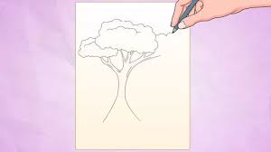 We did not find results for: Cara Menggambar Pohon Simpel 11 Langkah Dengan Gambar Wikihow
