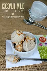 2 Ingredient Coconut Milk Ice Cream No Machine Required Dairy Free Ice Cream Recipes Dairy Free Ice Cream Coconut Milk Ice Cream