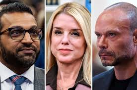 So these two big ones(shortie and zombie) have lived together for over 3  years now, and I never really paid attention to what they do but I've  noticed Shortie(with the short fins)