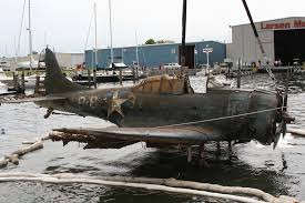 Image result for Michigan Blue 2009 Fleet