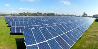 Rose Hill Solar Array Solar Solar Farm Roof Solar Panel