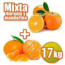 Die stängel sind aufrecht oder kriechend. Orangen Und Mandarinen Kaufen