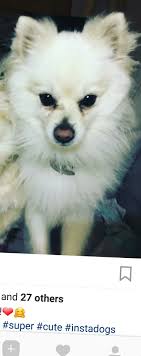 Troy's handlers and upcoming press conference