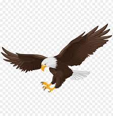 Maybe you would like to learn more about one of these? Download Eagle Png Png Images Background Toppng