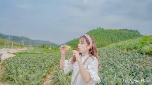 Những hòm phiếu lưu động nơi tâm dịch bắc giang. Phat Hiá»‡n VÆ°á»n Dá»©a Báº¯c Giang Cá»±c Khá»§ng Ngay Sat Ha Ná»™i