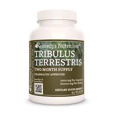 Image result for Tribulus terrestris
