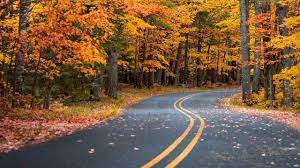 خلفيات road wallpaperرائعة للويندوز اندرويد وايفون desktop pictures background country roads