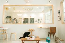 Cherrywood is a casual and cozy coffee shop with a friendly, and welcoming vibe located in east austin! The Top Cat Cafes Around The Country Catster