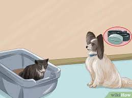 Before having your cabinet, i had my second bathroom set up in a way that my cats could get to a litter pan, but my dog couldn't. 3 Ways To Dog Proof The Cat S Litterbox Wikihow Pet
