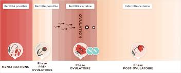 Le design amusant est scellé derrière époxy époxy époxy époxy égratignure claire. Saignement D Ovulation Tout Comprendre Sur Le Spotting Au Milieu Du Cycle