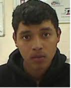 Catrina M. Shead (@C_M_Shead)