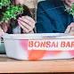 Bonsai Workshop at Bent Water Brewing Company event image