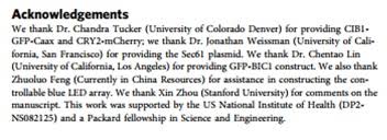 I would like to thank my (subject) teacher who gave me a golden opportunity to work on this project. What To Include In Your Acknowledgments Section