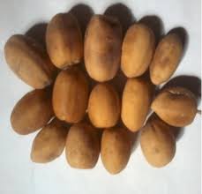 Image result for Balanites aegyptiaca