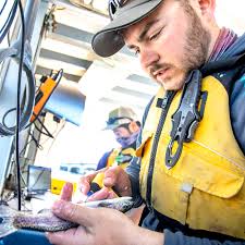 Idaho Fish and Game workers trap steelhead and salmon in the Snake River in  order to assign them 'Social Security' numbers
