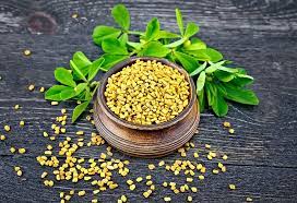 What do you know about methi fenugreek stirringmyspicysoul. Fenugreek Seed For Increasing Milk Supply Health Benefits Side Effects