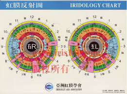 iridology chart iriscope iridology camera iriscope