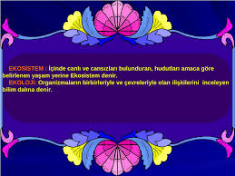 Ekosistem Ekoloji Akademik Sunum