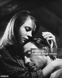 165 Harvey Springer Stock Photos, High-Res Pictures, and Images