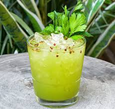 Image result for Aloe nuttii