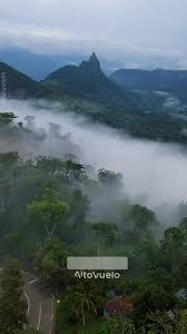 Demos la bienvenida a los nuevos miembros. JP Licia, Contreras Lina, Moises  Anaya, Tiago Ricco Meriendas, Choppin Urban, creaciones Barces , José  Libardo Soler Rojas, Marly Bernal, Edgar Jarro, Nicol Godoy, V6