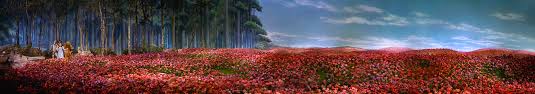 Scan your 4k copy, or the facebook cover photo and follow the yellow brick road to emerald city! The Wizard Of Oz Starring Judy Garland