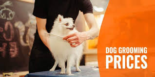 Dog Grooming Prices At Home Mobile Groomers At A Salon