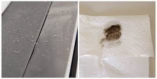 Comment Faire Pour Eliminer Les Particules De Poussiere Et De Graisse De Votre Cuisine Astuces Pour Nettoyer Nettoyer Joints Carrelage Nettoyage De La Maison