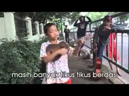 Kolam Susu Versi Korupsi By Pengamen Cilik Youtube