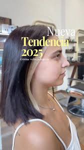 Mechas Ocultas En El Pelo