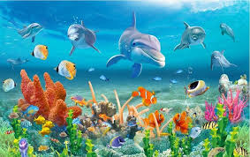 16 Pemandangan Dalam Laut Foto Us 8 85 41 Off Beibehang Besar Wallpaper Kustom Dunia Bawah Laut Dolphin Coral Reef Pemandangan Laut Pemandangan Mural Lautan