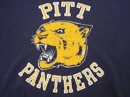 Perfectly Worn Vtg Pitt Panthers Cracked Logo T Shirt Large Pitt Panthers Pittsburgh Panthers Pittsburgh Panthers Football