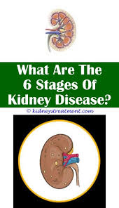 Kidney Disease Diet Chronic Kidney Disease Recipes Kidney Disease Symptoms Kidney Disease