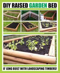 These directions will be for a bed that will be about one foot tall or four pieces of timber tall. Diy Raised Garden Bed With Landscaping Timbers