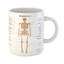 Amazon Com Emvency Funny Coffee Mug Anatomy Medical