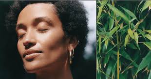 Why food and beverage investors are betting