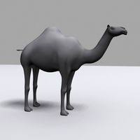 ⭕ please subscribe for more video and support to me ⭕hi everyone, in this video ı am modeling a camel in blender 3d this is a timelapse but if you want you. Camel 3d Models